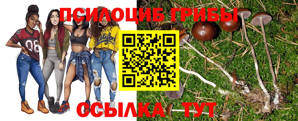 Фролово  Галлюциногенные грибы GOLDEN TEACHER  Галлюциногенные грибы Magic Shrooms  Вход с VPN 