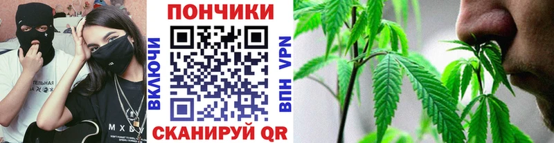 дарк нет телеграм где продают наркотики Фролово Каннабис конопля МЕГА ТОР