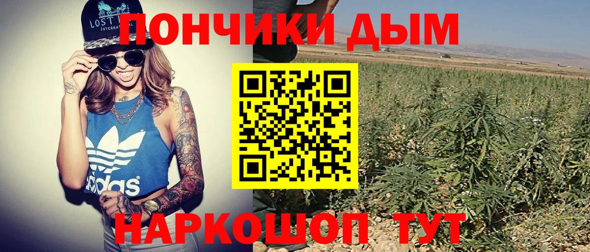 Бошки Шишки индика  Бошки марихуана ГИДРОПОН  Фролово  МАРИХУАНА планчик  Канабис Amnesia 