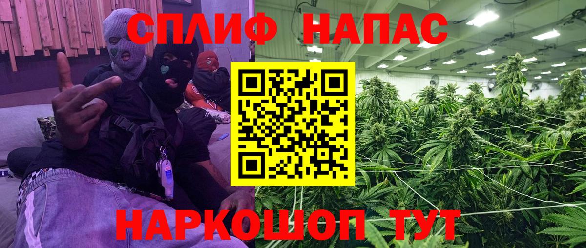 Каннабис MAZAR Фролово